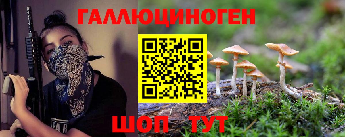 Псилоцибиновые грибы MAGIC MUSHROOMS Балашиха
