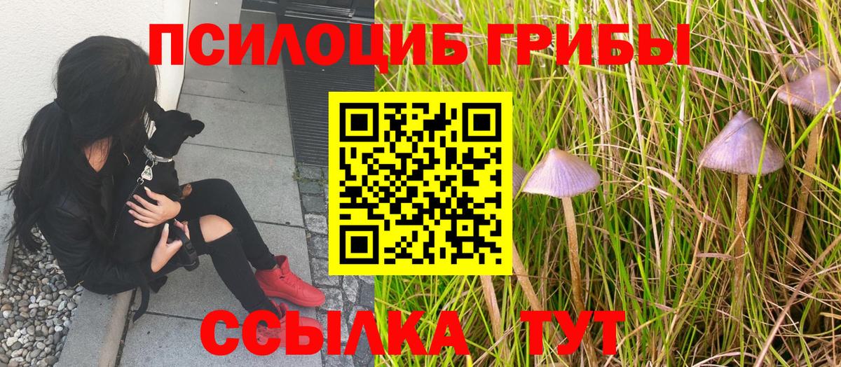 Псилоцибиновые грибы Psilocybine cubensis  Вход с VPN  Галлюциногенные грибы MAGIC MUSHROOMS  Балашиха 